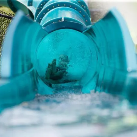 Apartment In Trakia Plaza Complex *